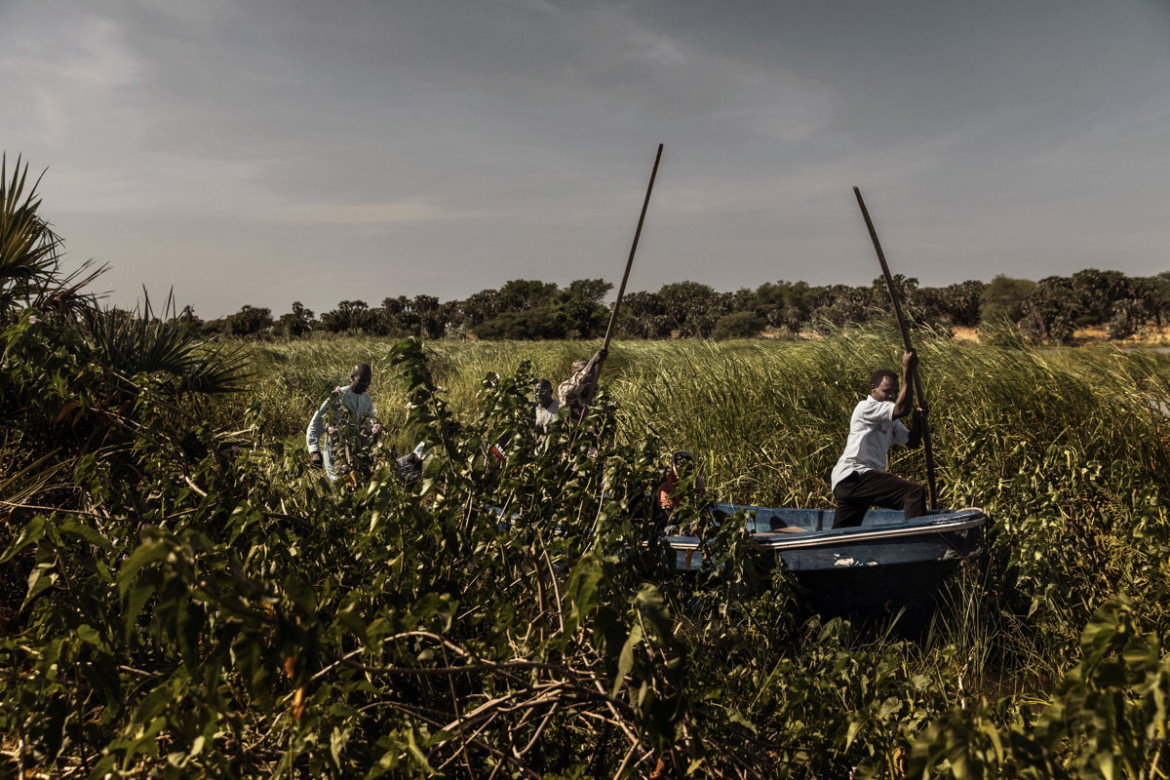 fot. Marco Gualazzini, Contrasto, z cyklu, "The Lake Chad Crisis", Nominacja do nagrody World Press Photo Story of the Year

Kryzys humanitarny w Kotlinie Czasu to kombinacja konfliktu politycznego i czynników środowiskowych. Jezioro Czad, niegdyś jedno z największych w Afryce i źródło życia dla 40 mln osób, z powodu źle zaplanowanych systemów nawadniania, suszy i wylesiania terenu w ciągu 60 lat zmniejszyło swój rozmiar o 90 procent. Rybacy pozostali bez pracy, a brak wody wywołuje konflikty między farmerami, a hodowcami trzody. Korzysta na tym dżihadystyczne ugrupowanie Boko Haram, które rekrutuje nowych członków w lokalnych wioskach. Narastający konflikt doprowadził do wysiedlenia 2,5 mln osób i braku bezpieczeństwa żywnościowego.
