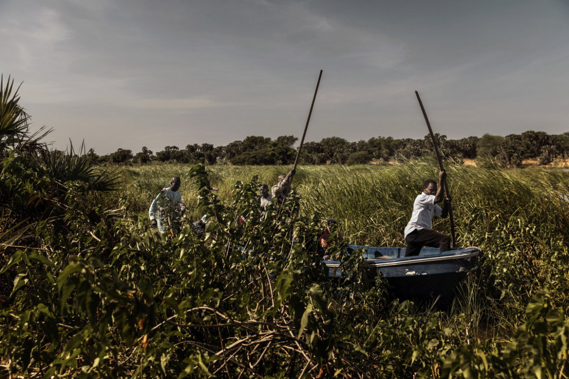 fot. Marco Gualazzini, Contrasto, z cyklu, "The Lake Chad Crisis", Nominacja do nagrody World Press Photo Story of the Year
Kryzys humanitarny w Kotlinie Czasu to kombinacja konfliktu politycznego i czynników środowiskowych. Jezioro Czad, niegdyś jedno z największych w Afryce i źródło życia dla 40 mln osób, z powodu źle zaplanowanych systemów nawadniania, suszy i wylesiania terenu w ciągu 60 lat zmniejszyło swój rozmiar o 90 procent. Rybacy pozostali bez pracy, a brak wody wywołuje konflikty między farmerami, a hodowcami trzody. Korzysta na tym dżihadystyczne ugrupowanie Boko Haram, które rekrutuje nowych członków w lokalnych wioskach. Narastający konflikt doprowadził do wysiedlenia 2,5 mln osób i braku bezpieczeństwa żywnościowego.