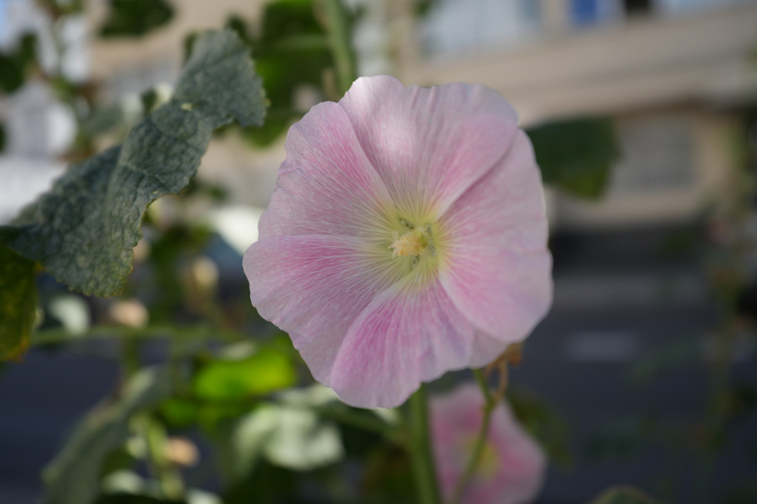 1/800 s, f/2,8, ISO 100, 30 mm 