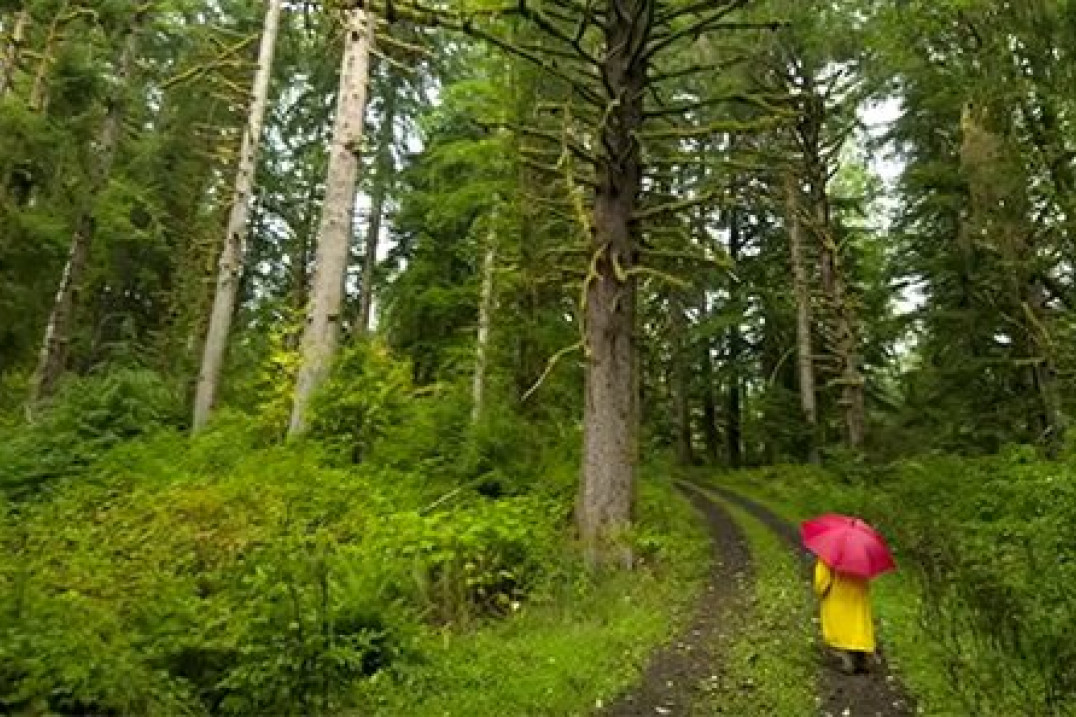 Foto porady Szkoły Perfekcyjnej Fotografii na fotopolis.pl - “kolor i kompozycja”