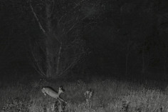 Pokaż swoje zdjęcia podczas Nocy Fotografii. Wystartował nabór zgłoszeń na konkurs Muzeum Warszawy