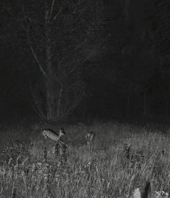 Pokaż swoje zdjęcia podczas Nocy Fotografii. Wystartował nabór zgłoszeń na konkurs Muzeum Warszawy