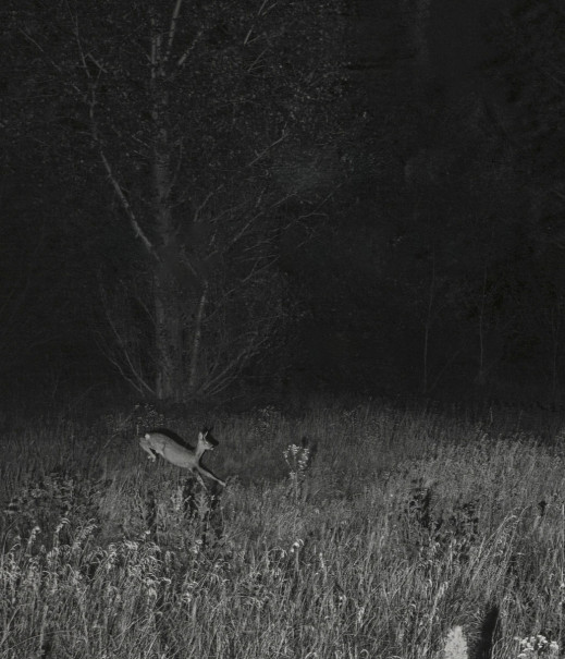 Pokaż swoje zdjęcia podczas Nocy Fotografii. Wystartował nabór zgłoszeń na konkurs Muzeum Warszawy