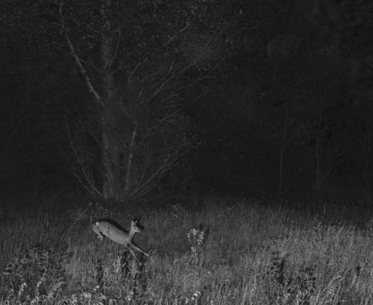Pokaż swoje zdjęcia podczas Nocy Fotografii. Wystartował nabór zgłoszeń na konkurs Muzeum Warszawy