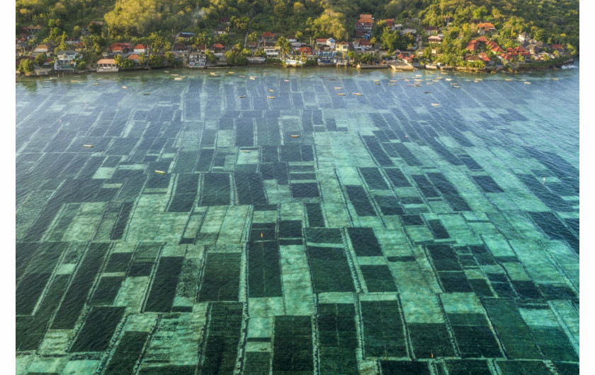 fot. George Steinmetz, z serii Foodscapes, 1. miejsce w kat. Series / Drone Photo Awards 2023