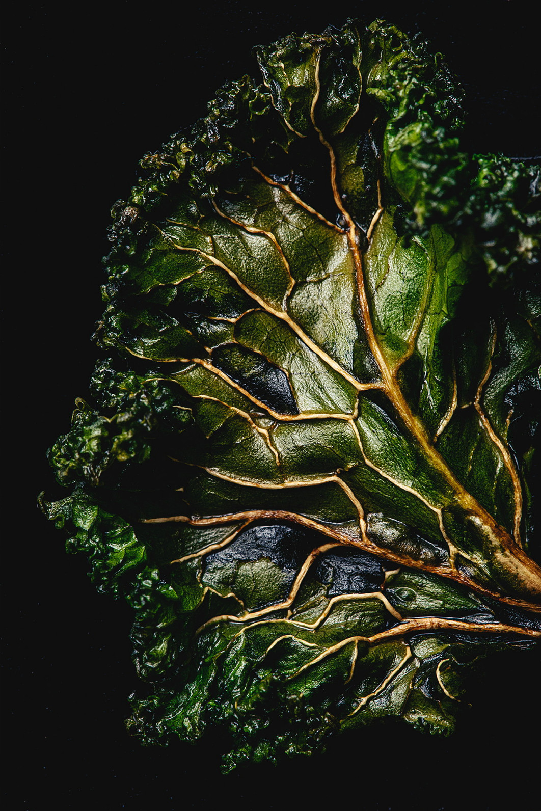 Fot. Simon Détraz, &quot;Crispy Kale&quot;, nagroda w kat. Marks &amp; Spencer Food Portraiture / World Food Photography Awards by Bimi 2025