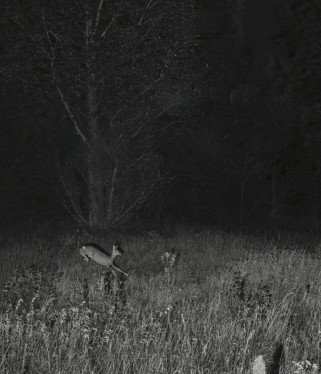 Pokaż swoje zdjęcia podczas Nocy Fotografii. Wystartował nabór zgłoszeń na konkurs Muzeum Warszawy