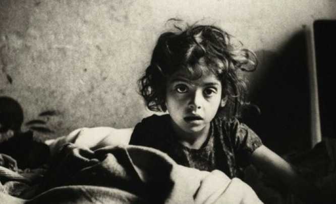 Spotkania z fotografami w ramach wystawy “Roman Vishniac: Fotografia, 1920-1975”