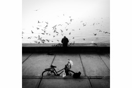 SEVIL ALKAN - Stray with me - I miejsce w kategorii Street Photography (zdjęcie z serii)