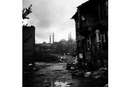 fot. Sevil Alkan, "Stray Dog", wyróżnienie w kategorii Projects & Portfolios w konkursie Urban Photo Awards 2018