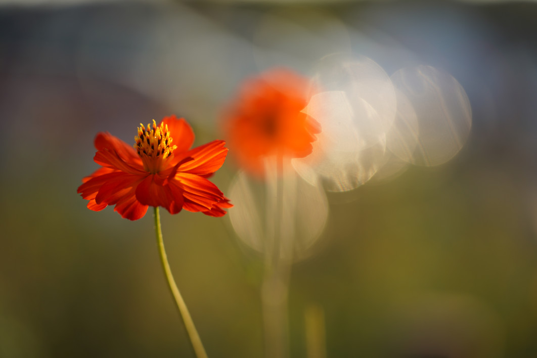 1/400 s, f/2.8, ISO 100, 102 mm