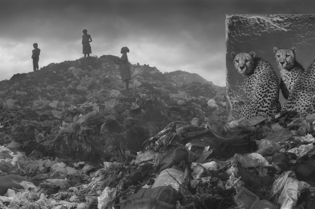 Nick Brandt – Kenia, której już nie ma...