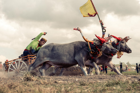 fot. Bram Paulussen