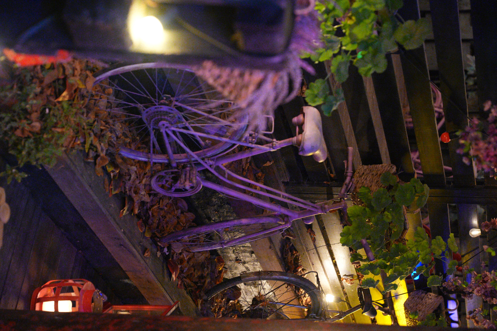 1/125 s, f/2.8, ISO 20000, 70.0 mm