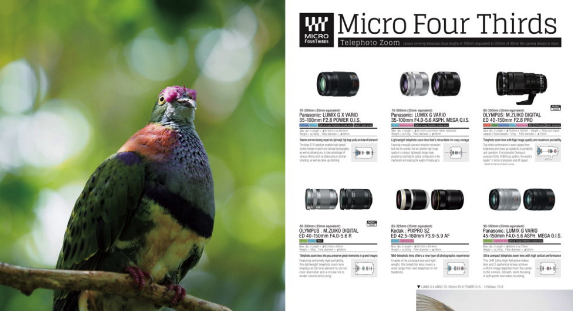 MFT 2015 Lens Catalog