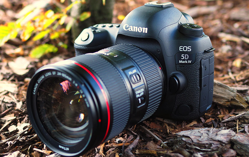 Canon 5d Mark 3 Фото