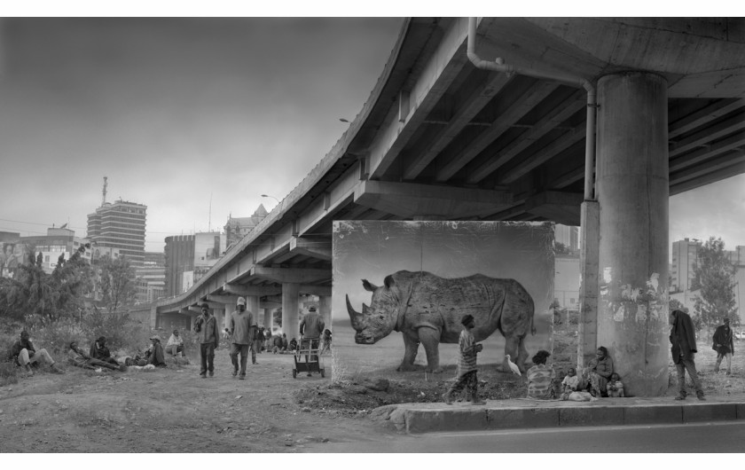 fot. Nick Brandt, Underpass with Rhino