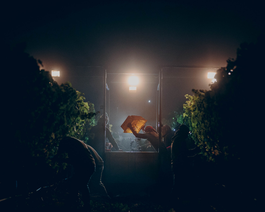 Fot. Heather Daenitz, &quot;Pinot Noir at Midnight&quot;, nagroda w kat.  Errazuriz Wine Photographer of the Year / World Food Photography Awards by Bimi 2025