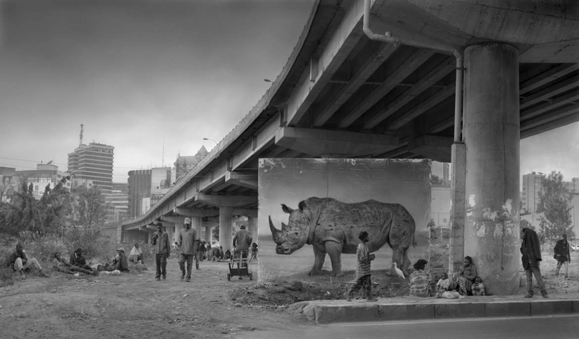 fot. Nick Brandt, "Underpass with Rhino"
