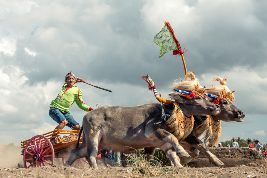 fot. Bram Paulussen