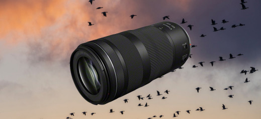 Canon RF 100-400 mm f/5.6-8 IS USM - budżetowe tele w kompaktowej odsłonie