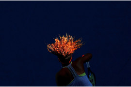 fot. David Gray, Reuters, "Sunlight Serve", 2. miejsce w kategorii Sports.

Naomi Osaka serwuje w meczu przeciwko Simonie Halep podczas Australian Open, 22 stycznia 2018 roku. Osaka w ciągu roku awansowała w światowych rankingach z miejsca 71. na 1.