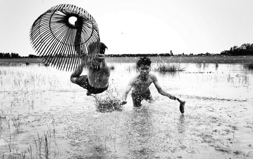 Fot. Chang Jiangbin, &quot;Net Fish in Water Fields&quot;, nagroda w kat. Bring Home the Harvest / World Food Photography Awards by Bimi 2025