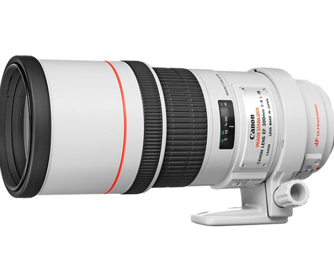 Canon EF 300mm f/4L IS USM