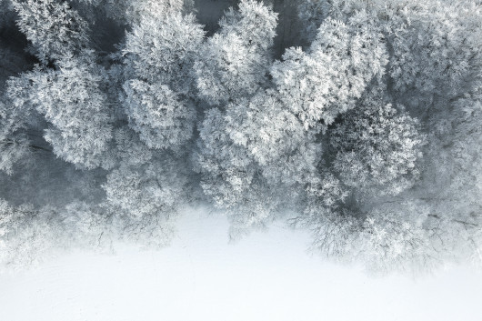 fot. Tom Hegen