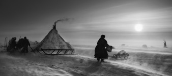 Polska premiera projektu „Genesis” Sebastião Salgado