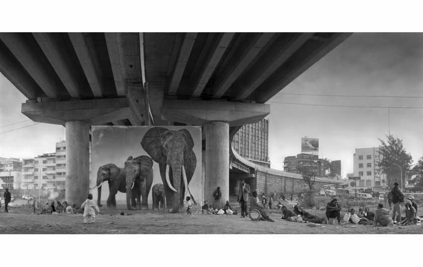 fot. Nick Brandt, Underpass with Elephants