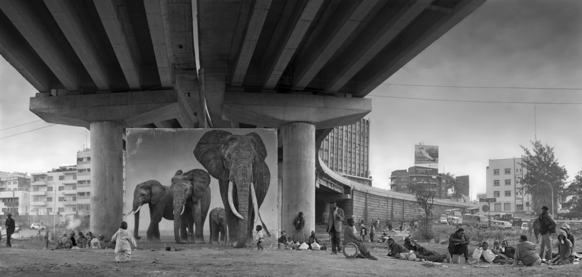 fot. Nick Brandt, "Underpass with Elephants"