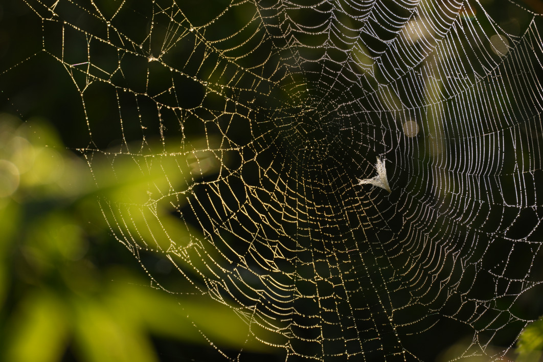 1/400 s, f/6.3, ISO 200, 600 mm