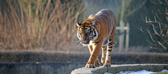 Tamron 100-400 mm F/4.5-6.3 Di VC USD - zdjęcia przykładowe