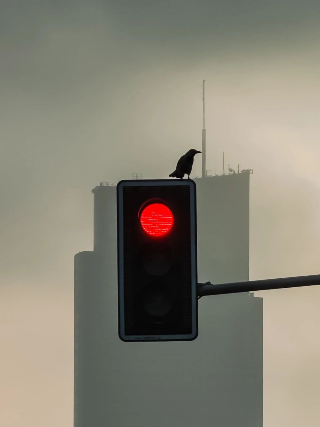 fot. Łukasz Tuński, Honorable Mentions w kat. Conceptual / Minimalist Photography Awards 2026
