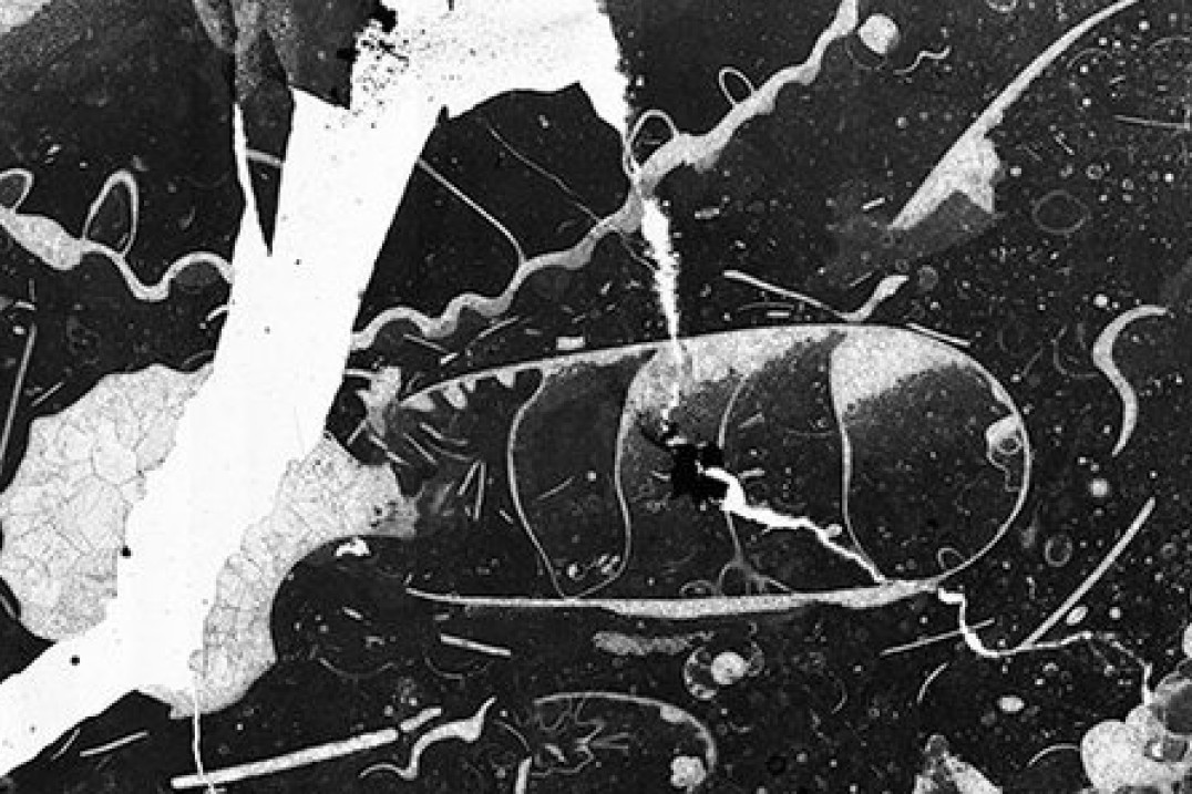 WJF, vol 2: Spotkanie z Igorem Omuleckim