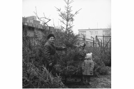 Sprzedaż choinek na bazarze przed Halą Mirowską. Kobieta z dzieckiem ogląda drzewko, Warszawa, 1979 / Narodowe Archiwum Cyfrowe