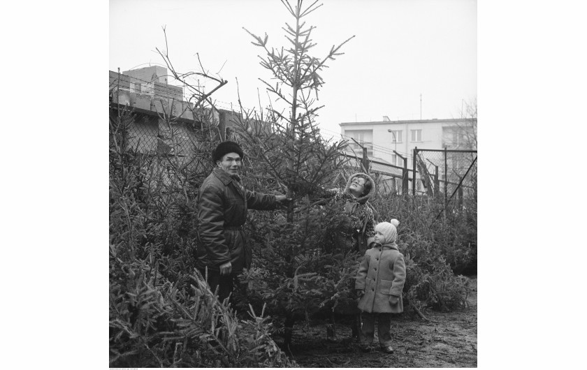 Sprzedaż choinek na bazarze przed Halą Mirowską. Kobieta z dzieckiem ogląda drzewko, Warszawa, 1979 / Narodowe Archiwum Cyfrowe