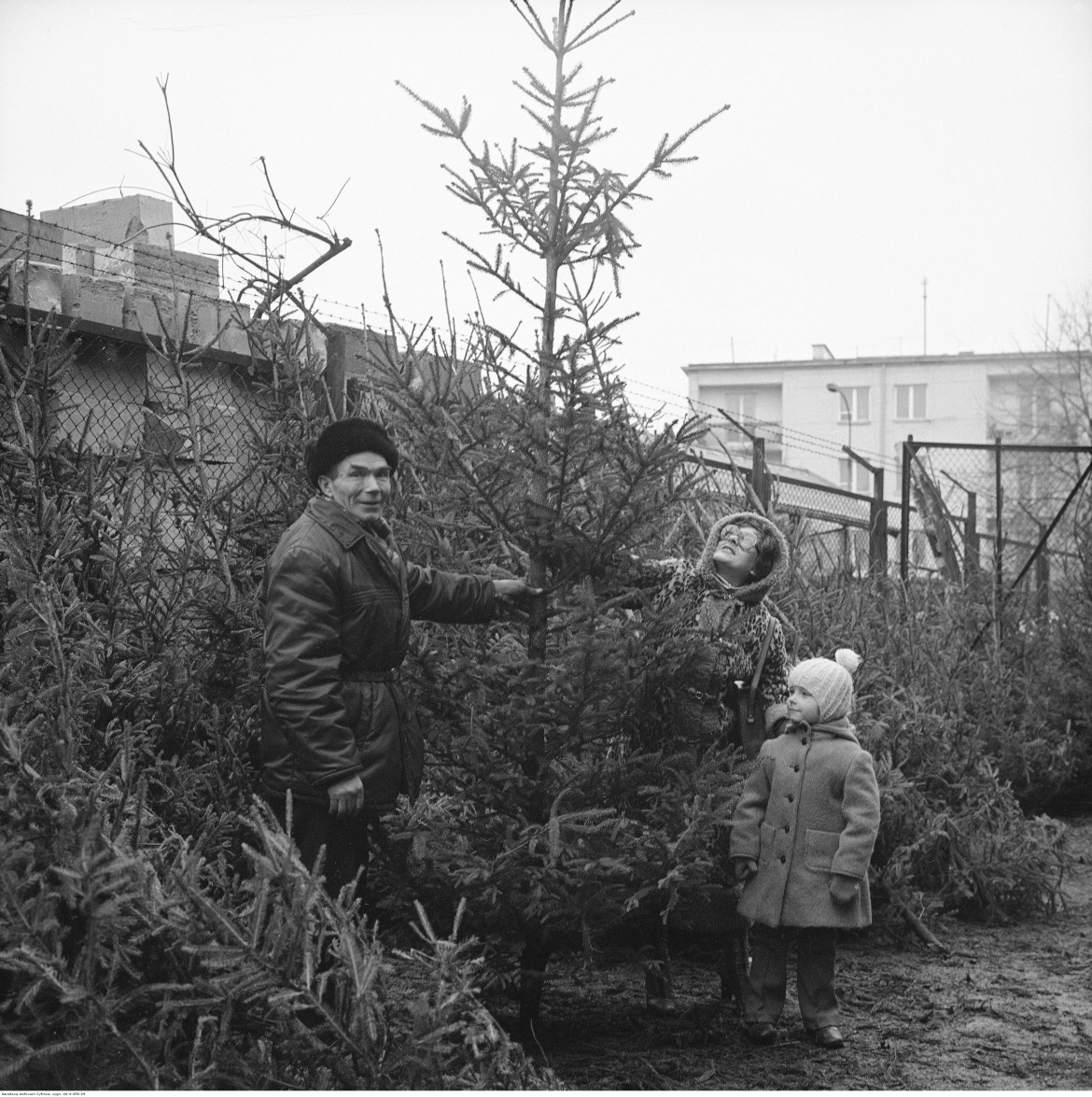 Sprzedaż choinek na bazarze przed Halą Mirowską. Kobieta z dzieckiem ogląda drzewko, Warszawa, 1979 / Narodowe Archiwum Cyfrowe