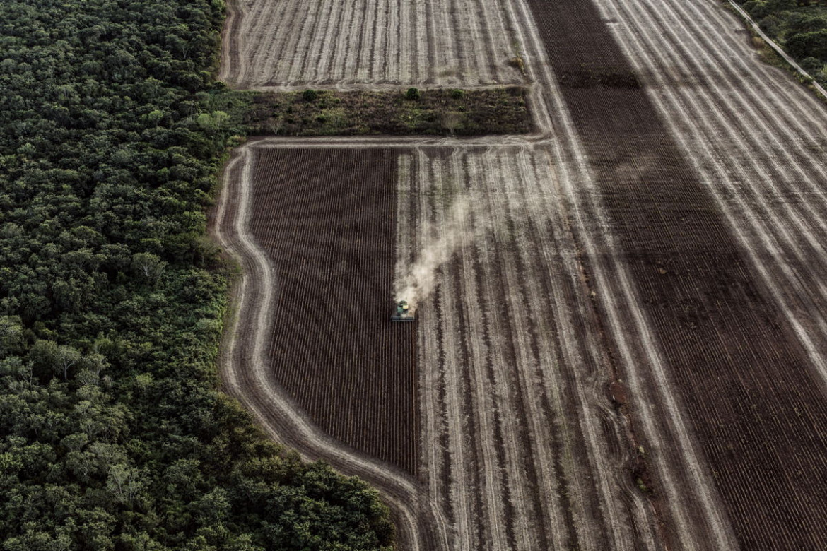 fot. Nadia Shira Cohen, "God’s Honey", 2. miejsce w kategorii Environment.
Chrześcijańscy farmerzy uprawiający soję w na półwyspie Jukatan mają rzekomo zgubny wpływ na lokalną hodowlę pszczół prowadzoną przez Majów. Aktywiści i producenci miodu twierdzą, że wprowadzenie genetycznie zmodyfikowanej soi i użycie pestycydów negatywnie wpływa na zdrowie, zanieczyszcza uprawy i zmniejsza wartość miodu, zagrażając utrat odebranie mu statusu "Bio". Uprawa soi prowadzi także do wylesiania terenu i wyjałowienia gruntu.