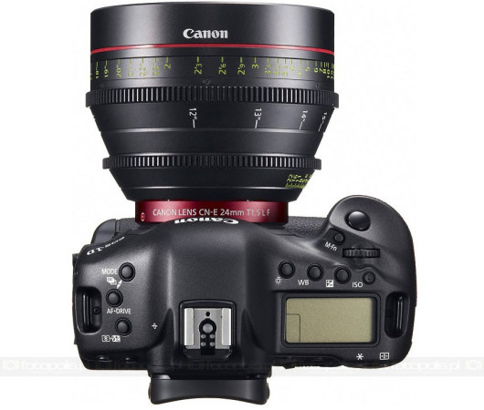 Canon EOS-1D C