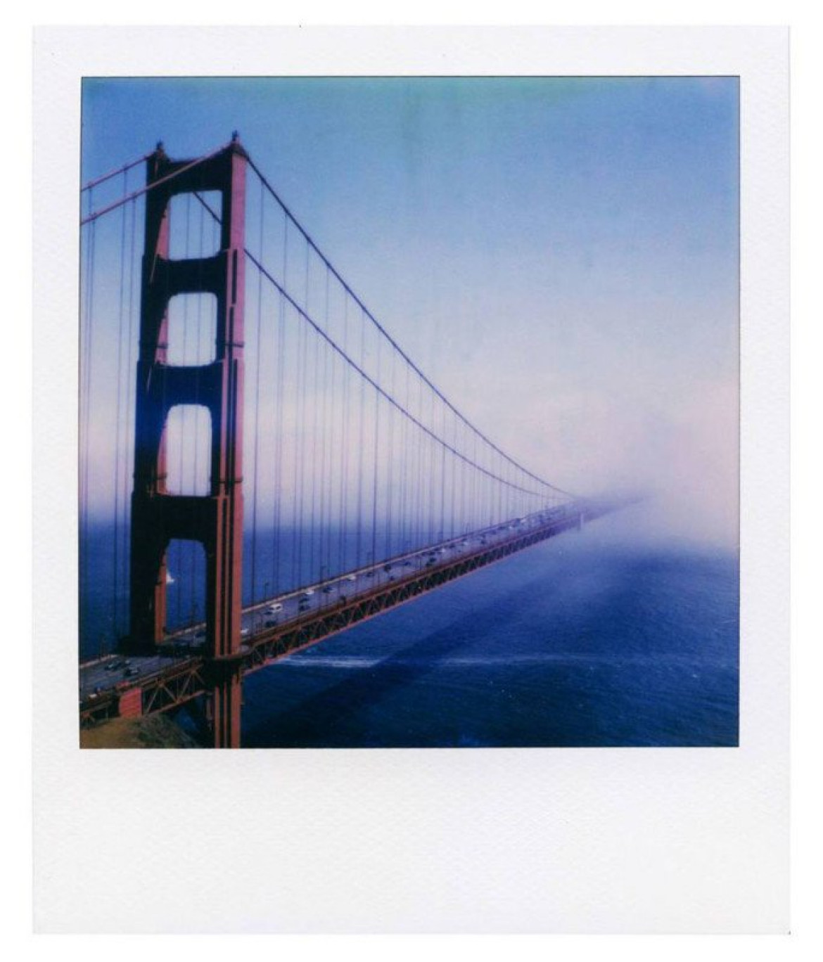 fot. Patrick Tobin | Polaroid OneStep 2, film i-Type