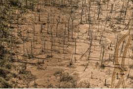 fot. Ernesto Benavides, Peru, z cyklu "Dredges"