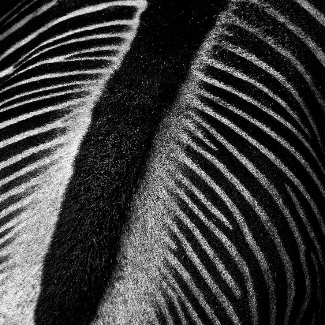 fot. Daniel Trzcieliński, Honorable Mentions w kat. Open / Minimalist Photography Awards 2026
