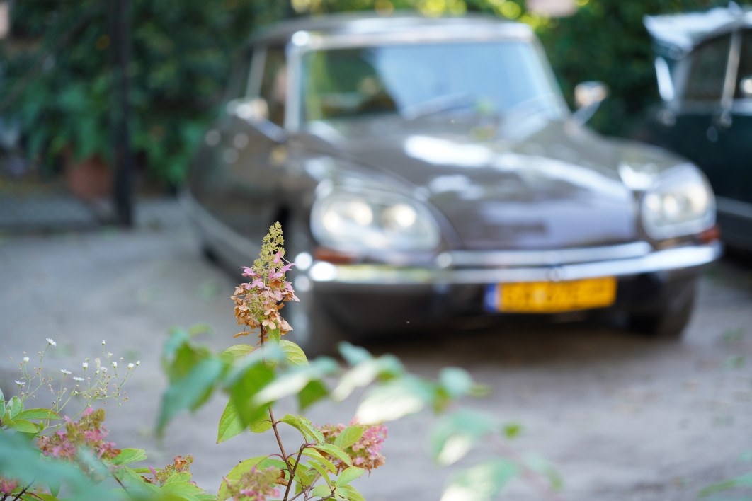  1/125 s, f/2,8, ISO 200, 105 mm 