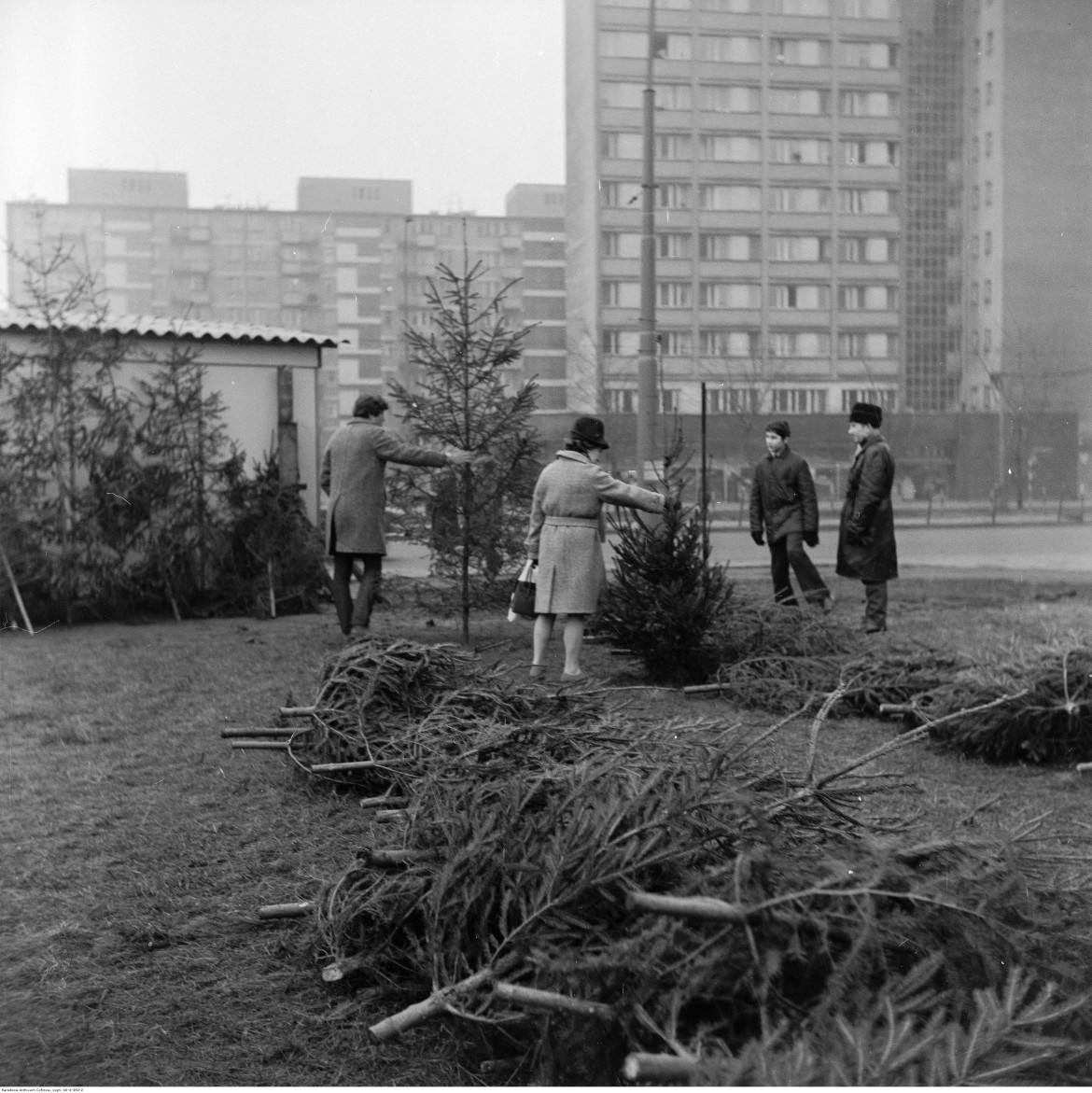 unkt sprzedaży choinek. W tle blok mieszkalny przy ul. Śliskiej 8 i za nim blok pod adresem ul. Śliska 8 / ul. Pańska 7 - widok od strony ul. Marchlewskiego, Warszawa, 1972 / Narodowe Archiwum Cyfrowe