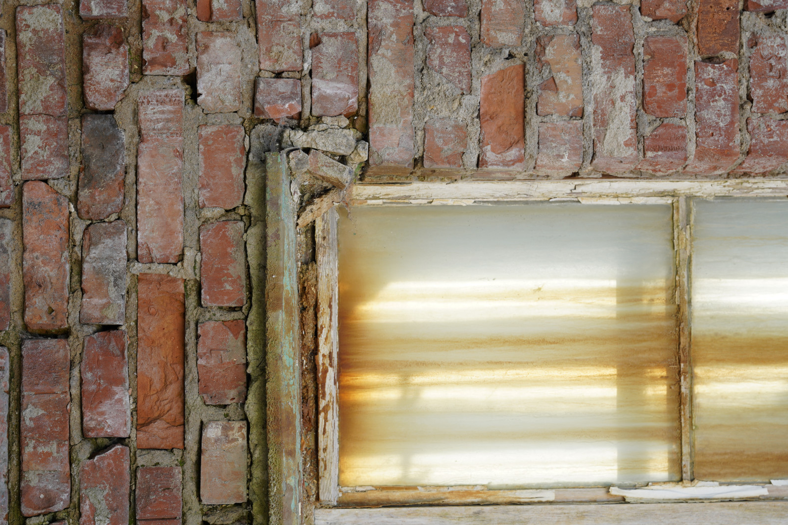  1/80 s, f/5,6, ISO 125, 72 mm 