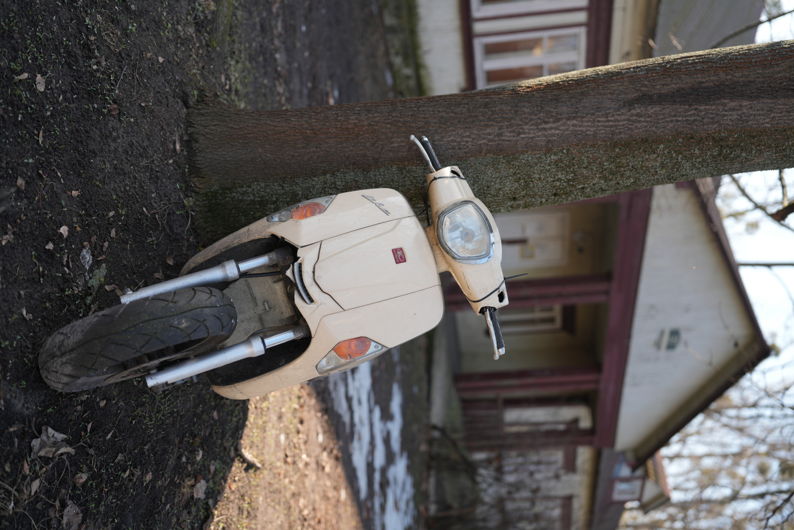 1/800 s, f/1.8, ISO 100, 35.0 mm