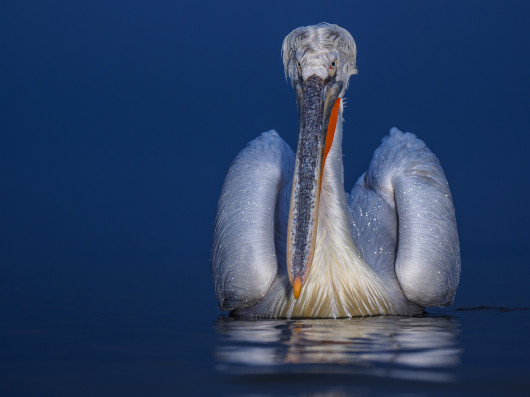 fot. Marcin Dobas