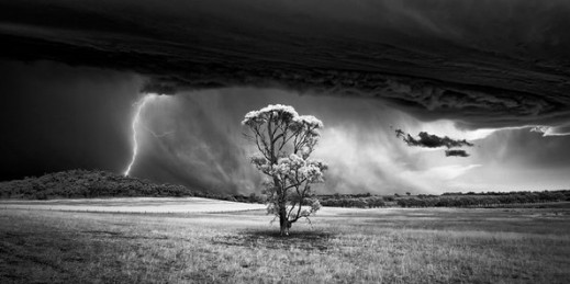 Poznaliśmy wyniki konkursu Monochrome Awards 2015. Wśród laureatów są Polacy!
